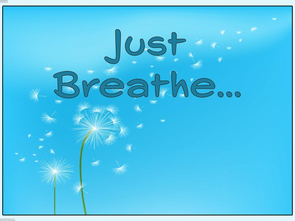 ការយល់ដឹងអំពីមីសាទ